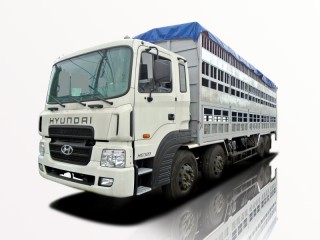 Xe Tải Hyundai HD320 4 Chân Chở Gia Súc 15 tấn
