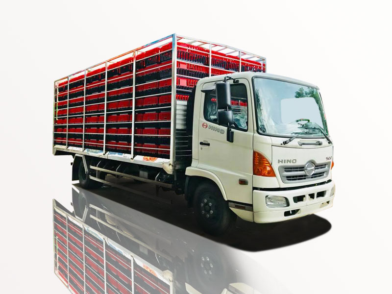 Xe Tải Hino FC9JJTA 4.9T - 4T9 - 4.9 Tấn Thùng Chở Gia Cầm Bảo Hành Chính Hãng