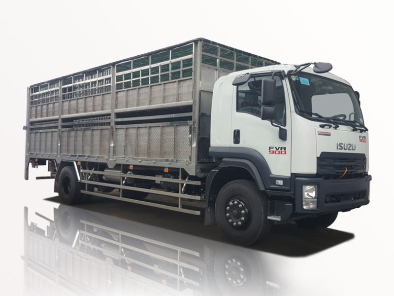 Xe Tải Chở Gia Súc Isuzu FVR34SE4 6.4T - 6T4 - 6.4 Tấn Chính Hãng